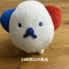 2026年最新】ホットスタッフ 犬の人気アイテム - メルカリ