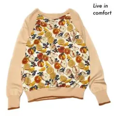 Live in comfort★フルーツ柄 長袖ニット ラグラン切替