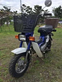 ホンダ C50 角目シャリー　CF50(12v)のサムネイル