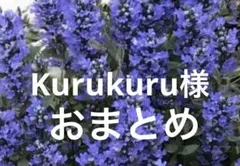 kurukuru様 リクエスト 3点 まとめ商品