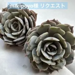 mikipoyo様 リクエスト 3点 まとめ商品
