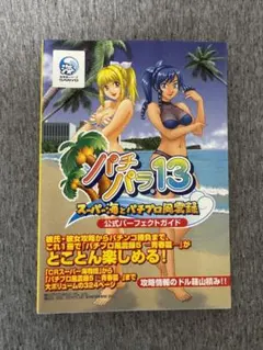 パチパラ15 〜スーパー海IN沖縄2〜に付属していたと思われるおまけの