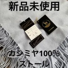 Item thumbnail for item d5b14578-8242-47a7-9a67-11077559871f