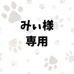 みぃ様専用【アメリカンショート・チワワ】デザイン