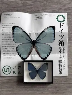 2026年最新】ドイツ箱標本の人気アイテム - メルカリ