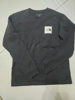 ノースフェイスレディースtシャツ