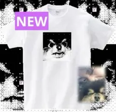 2026年最新】ヨンタン tシャツの人気アイテム - メルカリ