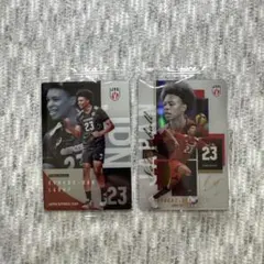 エバデダン ラリー 選手 バレーボール 男子日本代表 カード 2枚セット