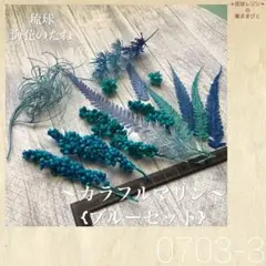 琉球*海花のたね 0708-3 海花☆バラエティセット - メルカリ
