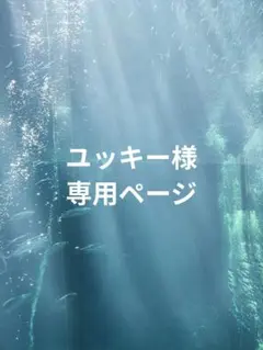 ユッキー様専用ページ