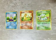 【ERROR CARD】エラーカード旧裏 カツラのポケモン 印刷or裁断 枠ズレ Pokemon D48【ポケモン カード】 カイリキー LV.67 No.068