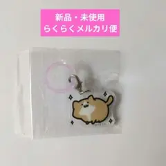 【新品】お文具といっしょ アンブレラマーカー 子猫さん めじるしアクセサリーのサムネイル