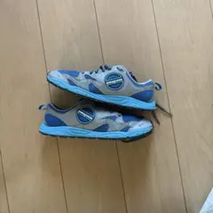 Patagonia 00s mesh sneakerのサムネイル