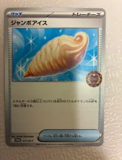 ポケモンカード　ジャンボアイス　オーガナイザー　プロモ　ジムプロモ