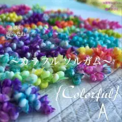 カラフルソルガム　{Cool A } インディアンコーン カラフルソルガム {Cool A } インディアンコーン - メルカリ