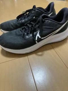 Item thumbnail for item 133ef58b-cdd0-4469-9d53-306905581579