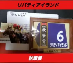 2025年最新】リバティアイランド 競馬の人気アイテム - メルカリ