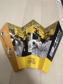 福岡ソフトバンクホークス 記念パンフレット 応援グッズ 2個セット