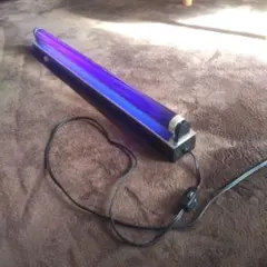 ブラックライトブルー