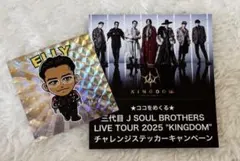 三代目JSOUL BROTHERS ホログラムステッカー 会場限定 ELLY