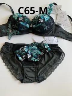 ワコール サルート ブラC65/ショーツM GR