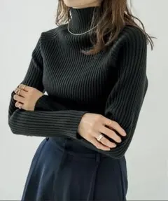 【定番/大人気】mystic タートルリブニット ブラック