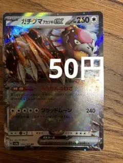 ガチグマアカツキex