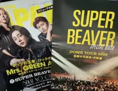 ROCKIN'ON JAPAN 11月号　別冊　付録