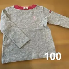 ホットビスケッツ ロンT100