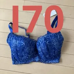 ブルー レース ブラジャー ハリジェンヌ ブラジャー コスモブルーのサムネイル