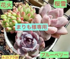 まりも様 リクエスト 2点 まとめ商品