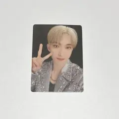 SEVENTEEN ドギョム FC カラモバ W会員 特典 トレカ