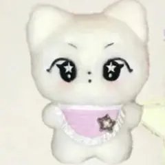 enhypen ジョンウォン 10cm ぬいぐるみ 新品 マスター - メルカリ
