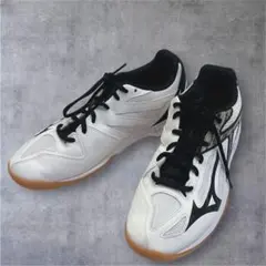 ミント様m(_ _)m。MIZUNO バレーボールシューズ V1GX235500 ミント様m(_ _)m。MIZUNO バレーボールシューズ V1GX235500 - メルカリ