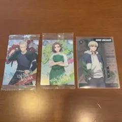 ウィンドブレーカー カード ウエハース まとめ買いのみ