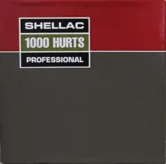 2026年最新】スティーヴアルビニの人気アイテム - メルカリ