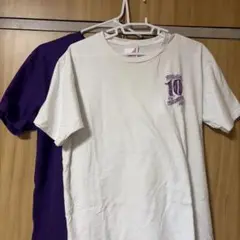 乃木坂46 真夏の全国ツアー2025 明治神宮球場10回記念 Tシャツ Lサイズ