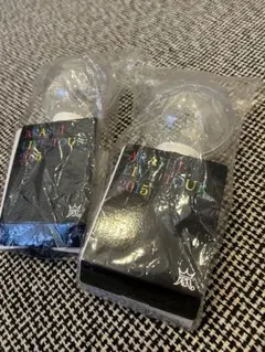 ARASHI LIVE TOUR 2015 ペンライト 2個セット