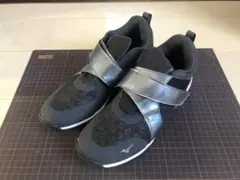 MIZUNO ミズノ　ウエーブダイバース LG LITE 2 　25.0cmのサムネイル