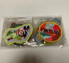 未開封　Mrs. GREEN APPLE 10 GOODS ワッペン10種