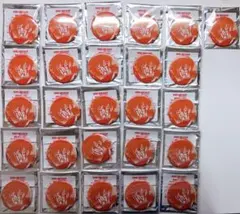 WIND BREAKER 5th 焚石がいっぱいキャラバッジ 焚石矢　G