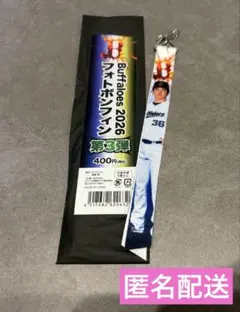 オリックスバファローズ 森陽樹投手　ボンフィン2026のサムネイル
