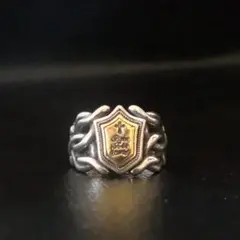 Item thumbnail for item 4540473b-8fbb-447e-86a6-8bd84937b18d