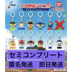 プロ野球マスコット めじるしアクセサリー　セミコンプリート