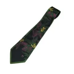 Item thumbnail for item 7a8de103-93bd-4cc0-aaa5-55977c3fa969