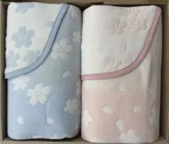 Item thumbnail for item 4aa85202-c899-4aff-8433-845281c28753