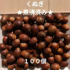 くぬぎ　100個　煮沸済み　どんぐり　木の実　2〜2.5cm程