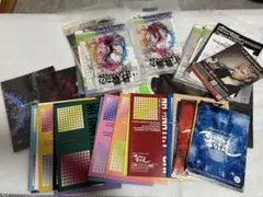 Acid Black Cherry パンフレット