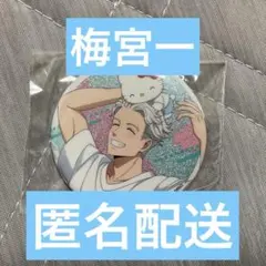 WINDBREAKER ウィンブレ 梅宮一 缶バッジ サンリオ WIND BREAKER×サンリオキャラクターズ