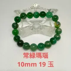 Stein様 リクエスト 2点 まとめ商品